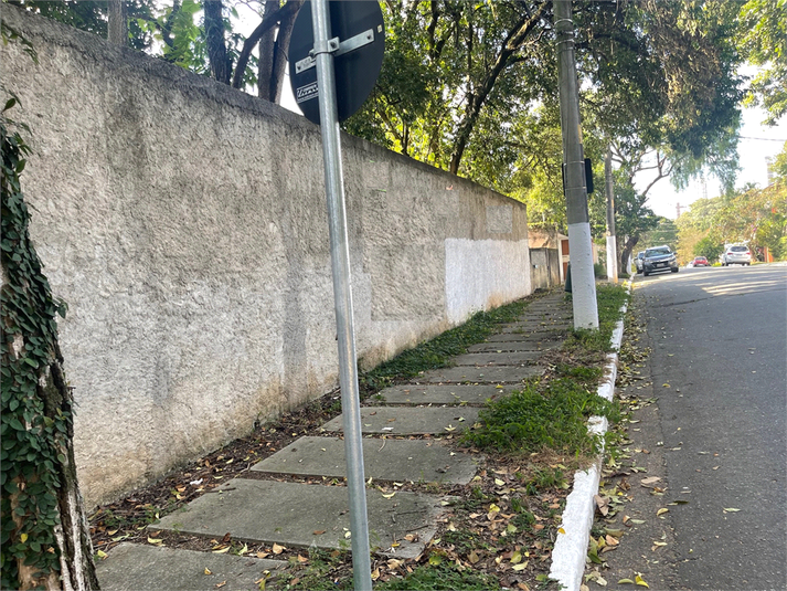 Foto REO1094045