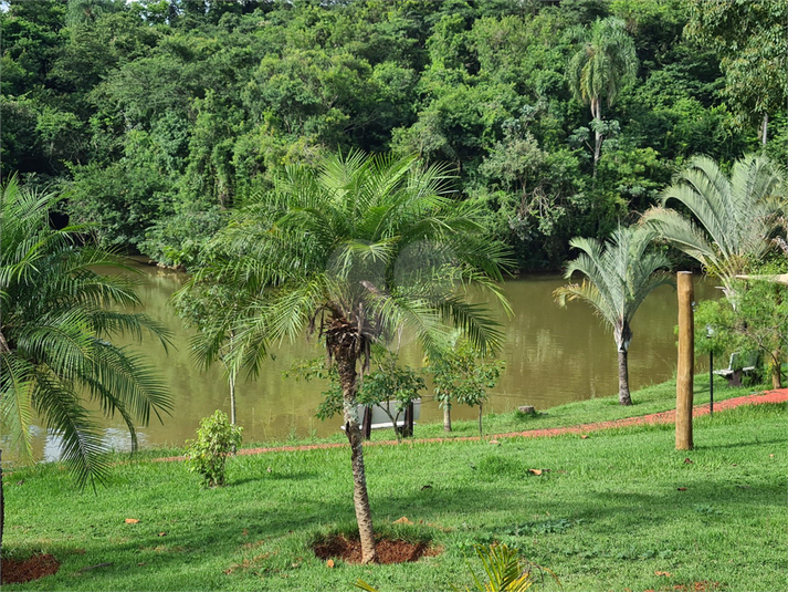 Foto REO1094047