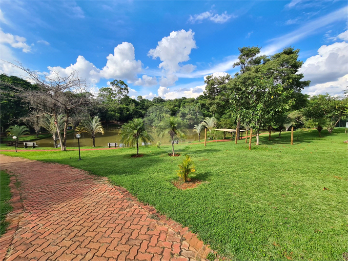 Foto REO1094047