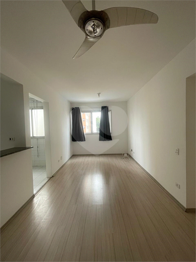 Foto REO1094056