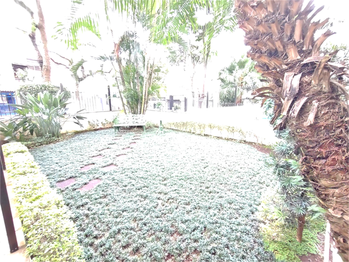 Foto REO1094071