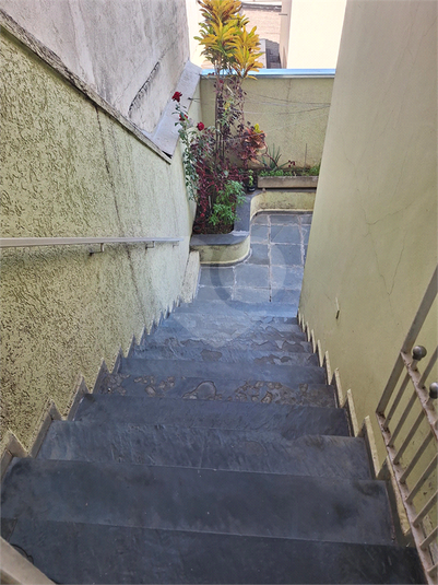 Foto REO1094077
