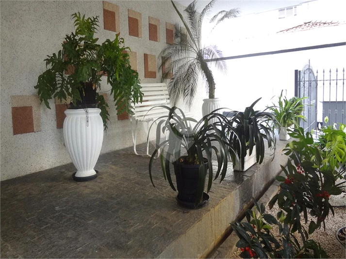 Foto REO1094098