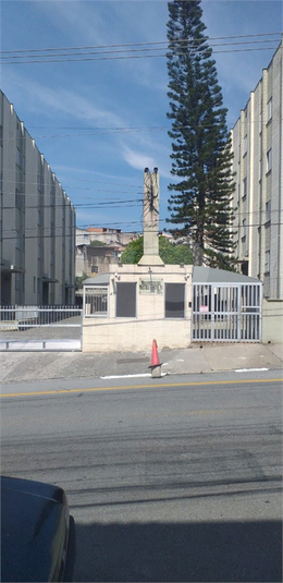 Foto REO1094127