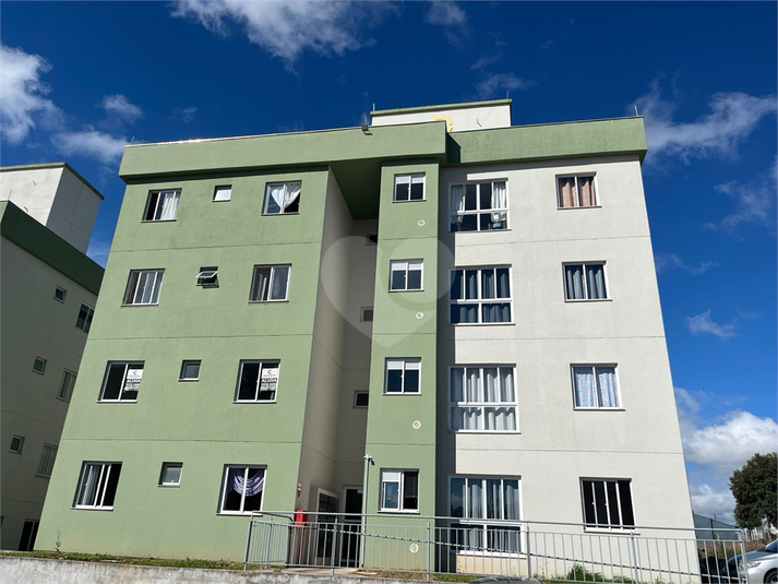 Foto REO1094150