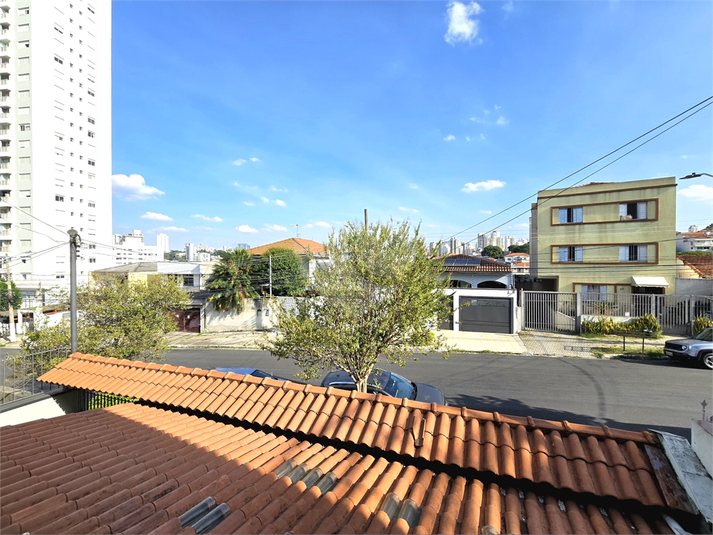 Foto REO1094156