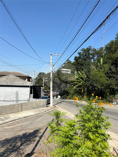 Foto REO1094172