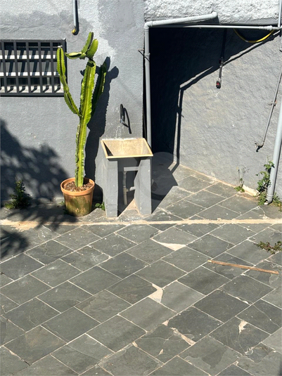Foto REO1094172
