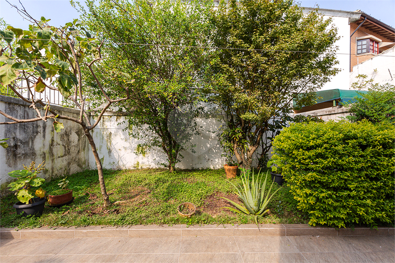 Foto REO1094184