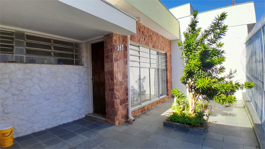 Foto REO1094188