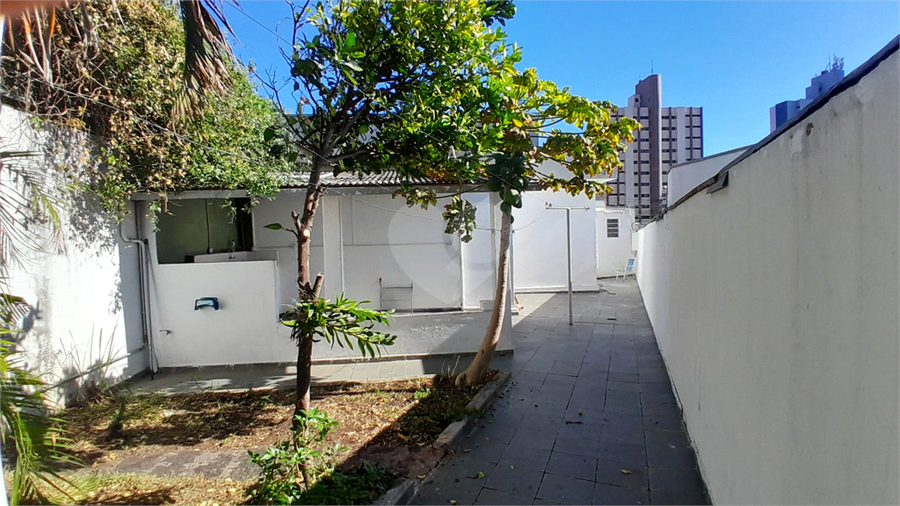 Foto REO1094188