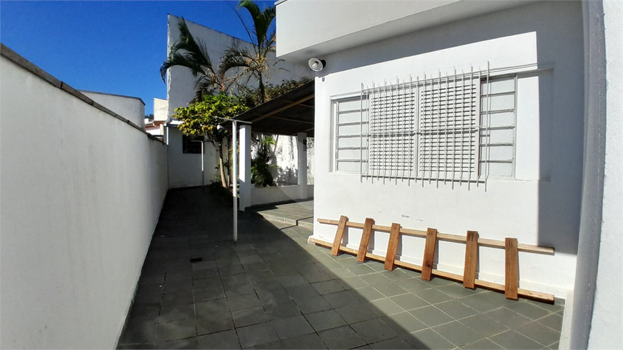 Foto REO1094188