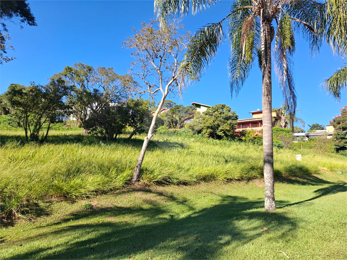 Foto REO1094220