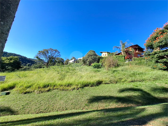Foto REO1094220
