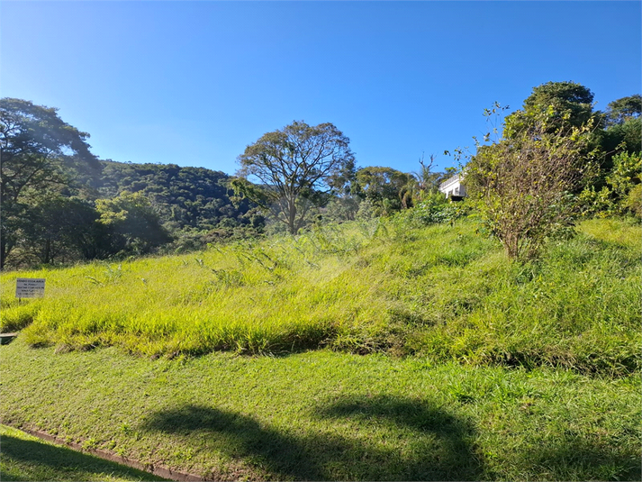 Foto REO1094220