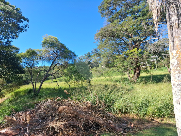 Foto REO1094220