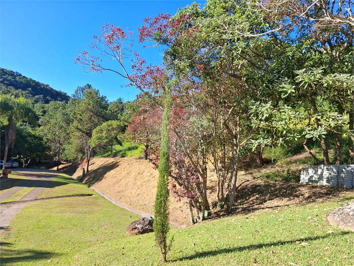 Foto REO1094220