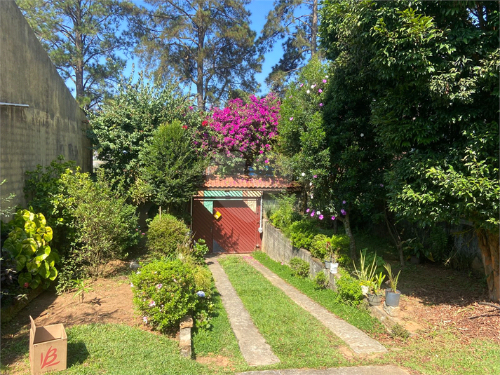 Foto REO1094238