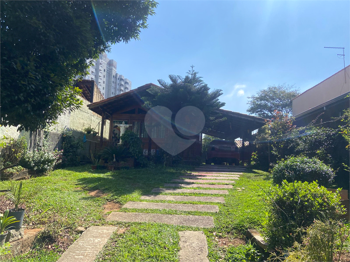 Foto REO1094238