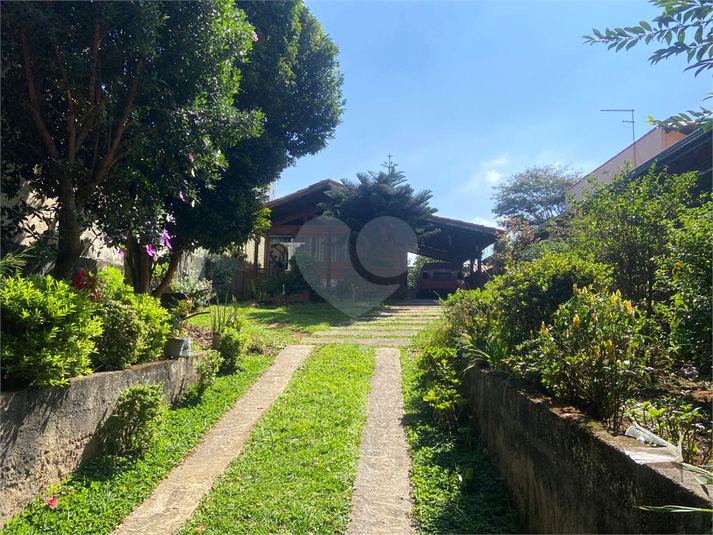 Foto REO1094238