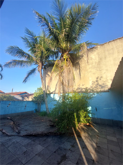 Foto REO1094248