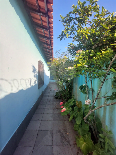 Foto REO1094248