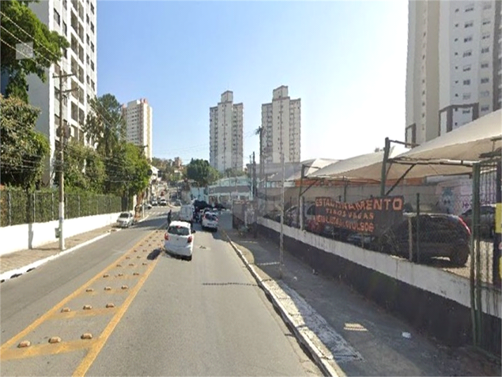 Foto REO1094252