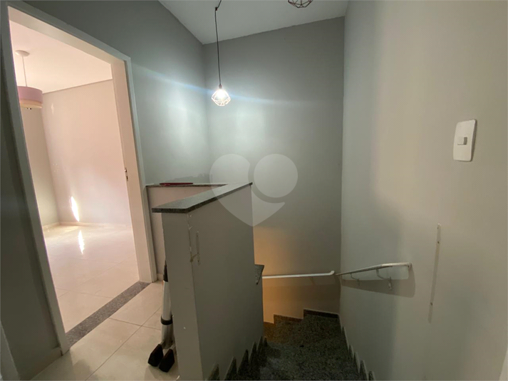 Foto REO1094258