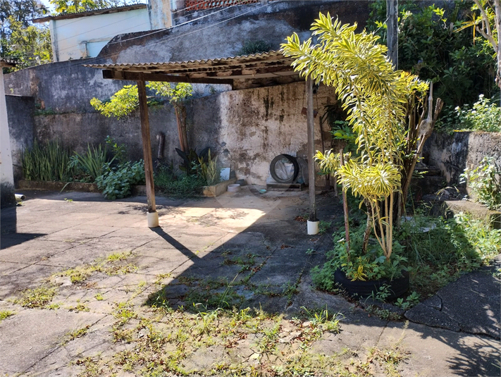 Foto REO1094260