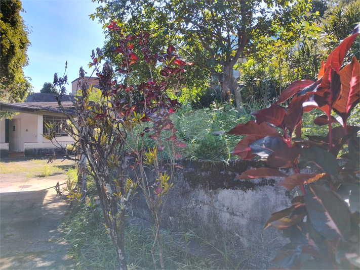 Foto REO1094260