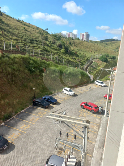 Foto REO1094262
