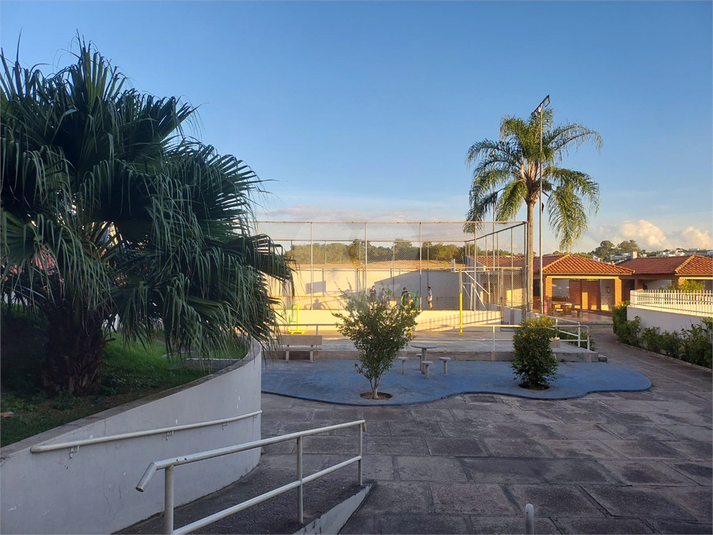 Foto REO1094265