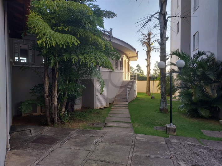 Foto REO1094265