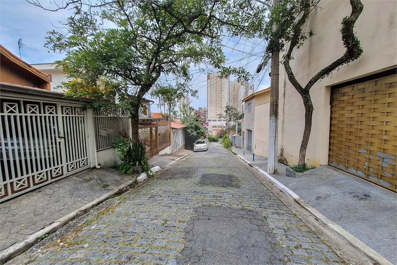Foto REO1094271