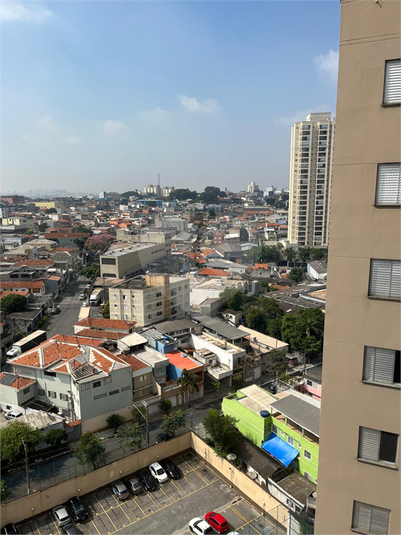 Foto REO1094282