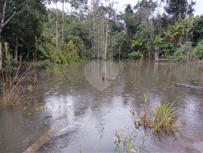 Foto REO1094286