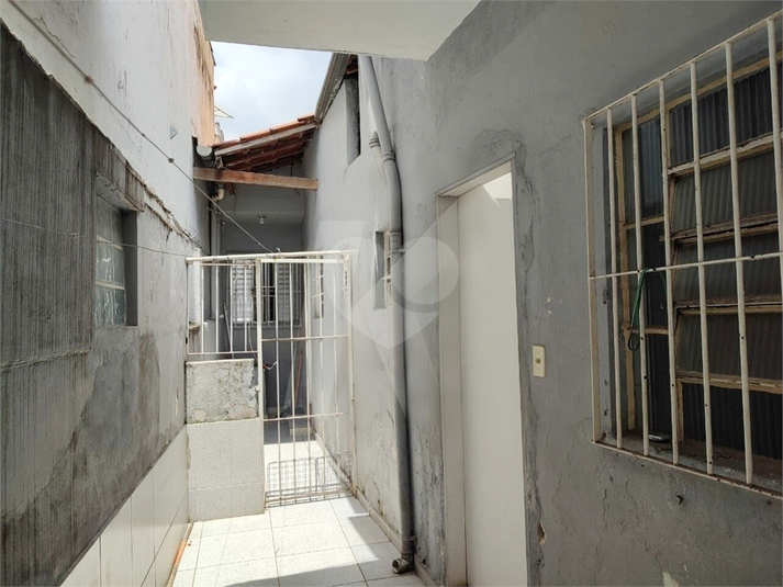 Foto REO1094302