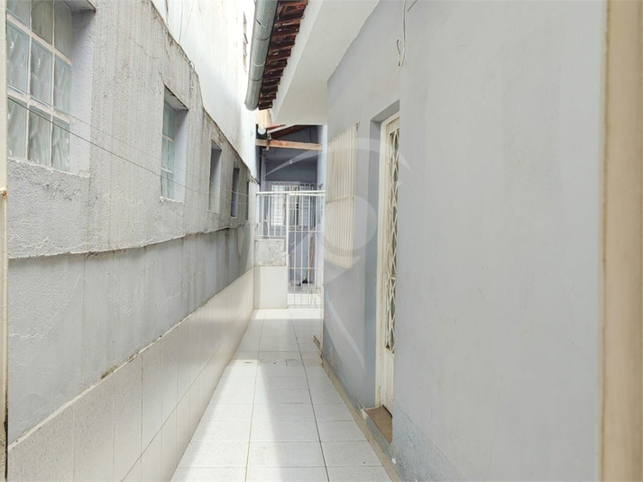 Foto REO1094302