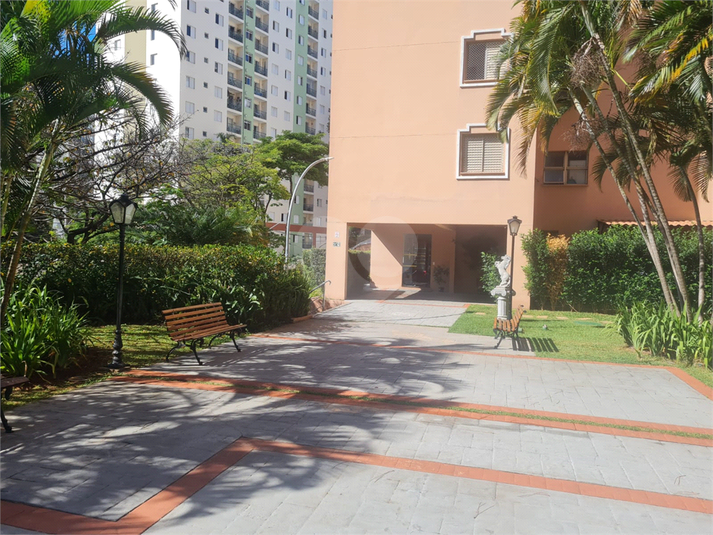 Foto REO1094311