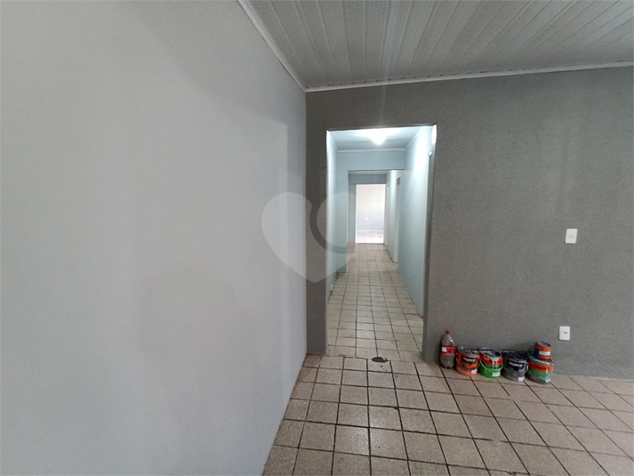 Foto REO1094313