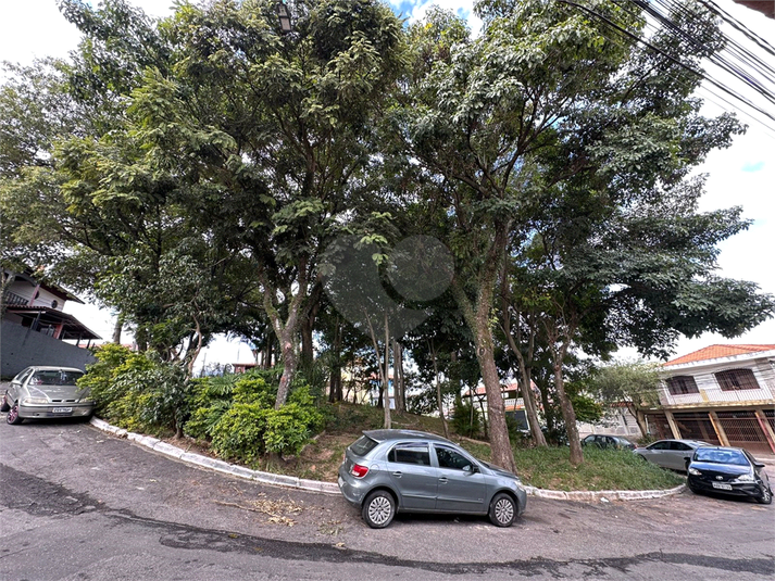 Foto REO1094323