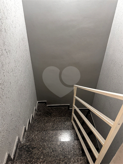 Foto REO1094345