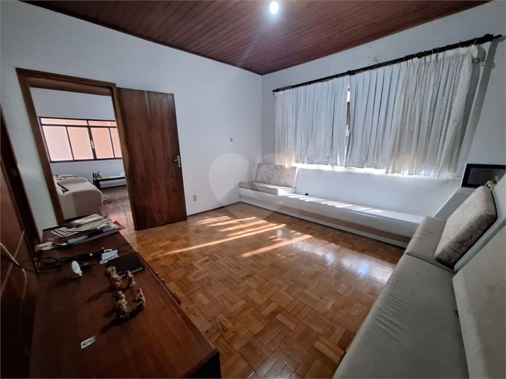 Foto REO1094348