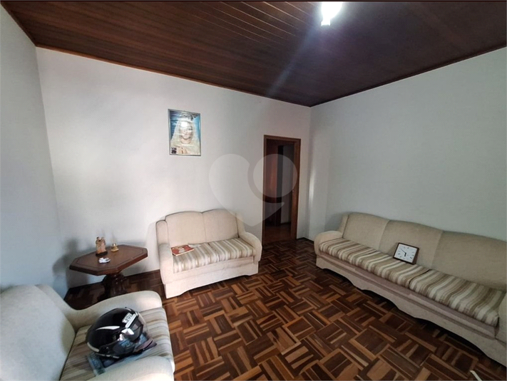 Foto REO1094348