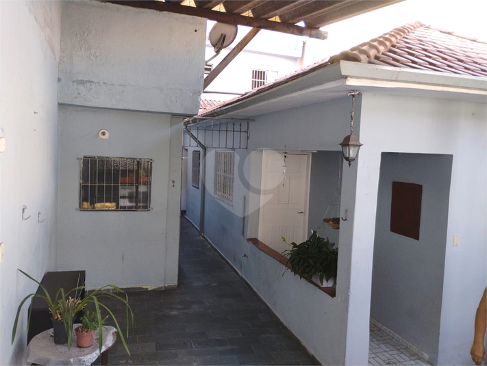 Foto REO1094353