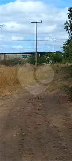 Foto REO1094356