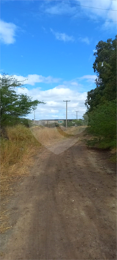 Foto REO1094356