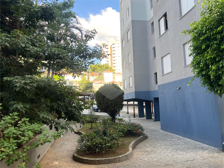 Foto REO1094377