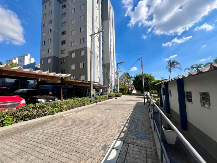 Foto REO1094377