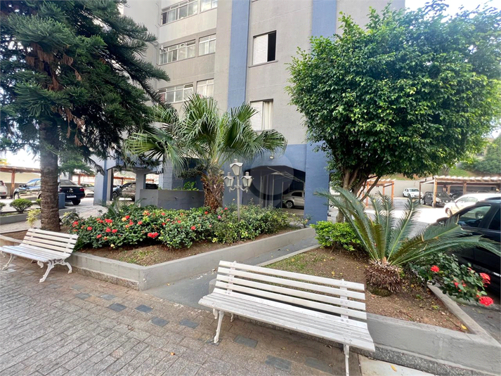 Foto REO1094377